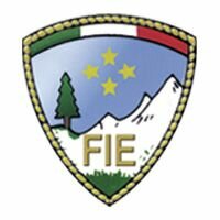 FIE